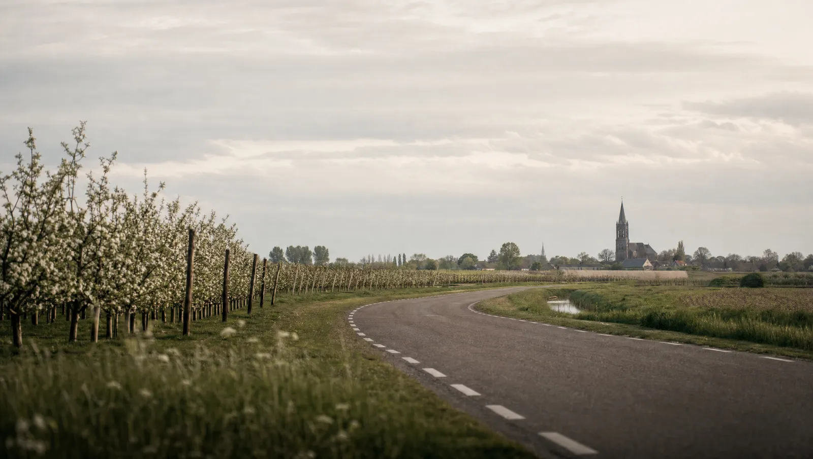 Weg in de Betuwe vanuit het perspectief van een rijleerling